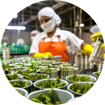 Exportadores de alimentos frescos y procesados